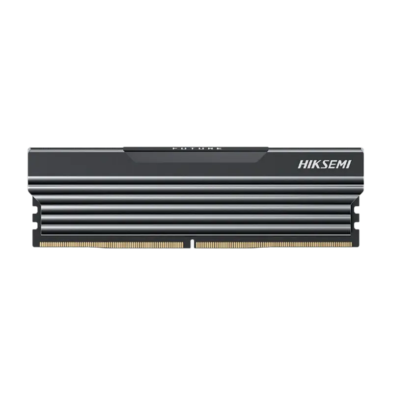 HIKVISION HS-DIMM-U100(STD)/HSC416U36C4/FUTURE/W