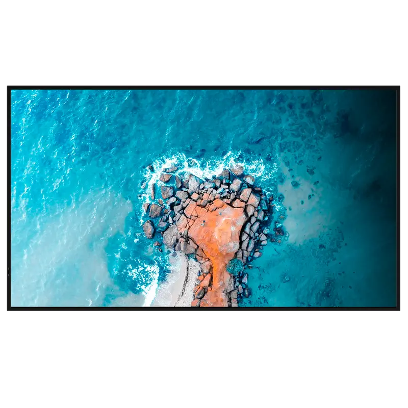 HISENSE HIS-65DM66D - Monitor digital signage 65" 4K - Cartelería digital local USB - Cartelería cloud VisionInfo (opcional)