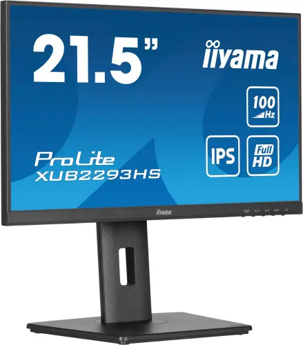 Iiyama MONITOR IIYAMA TFT 21,5"/54,5CM PROLITE