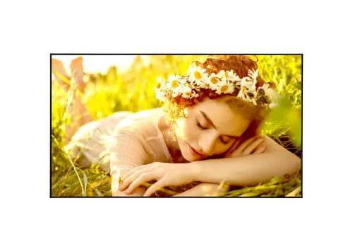 LG 65UL5Q-M pantalla de señalización Pantalla plana para señalización digital 165,1 cm (65") LED Wifi 500 cd / m² 4K Ultra HD Negro WebOS 24/7