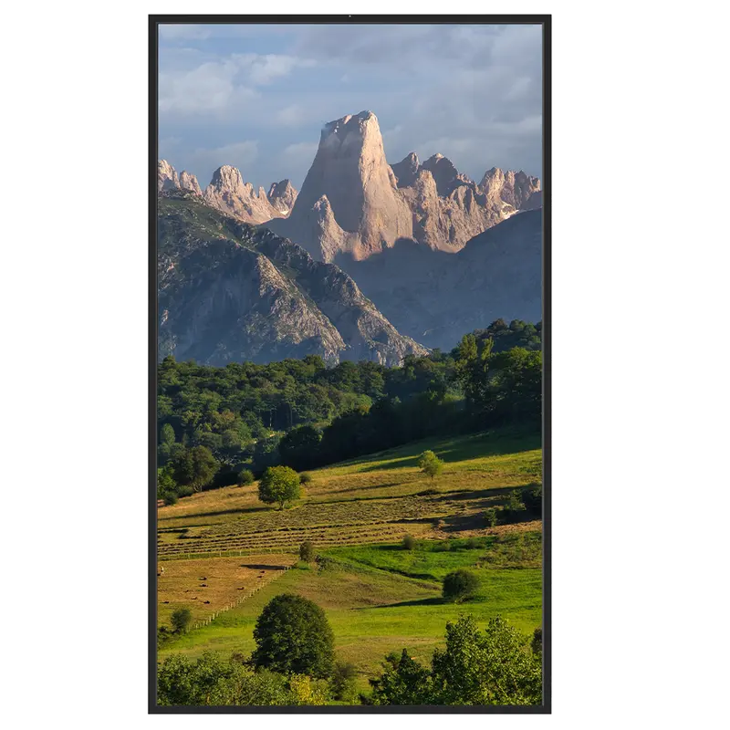 SAFIRE SF-55WF35-4K - Monitor alto brillo 55" - Resolución 4K - Brillo 3500 nits - Funcionamiento 24/7 - Android 12 - Altavoces integrados