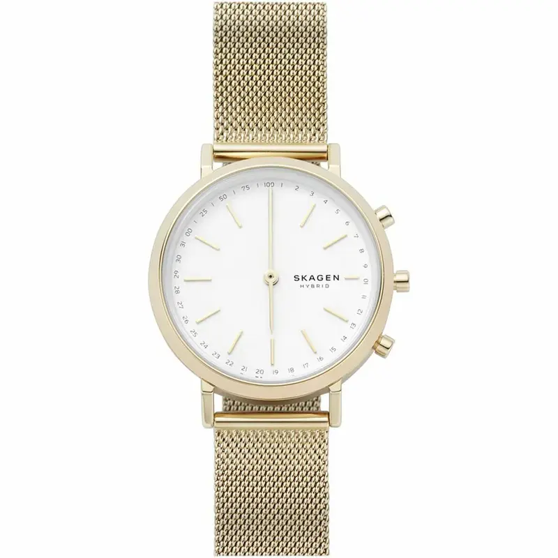 Smartwatch Skagen SKT1405